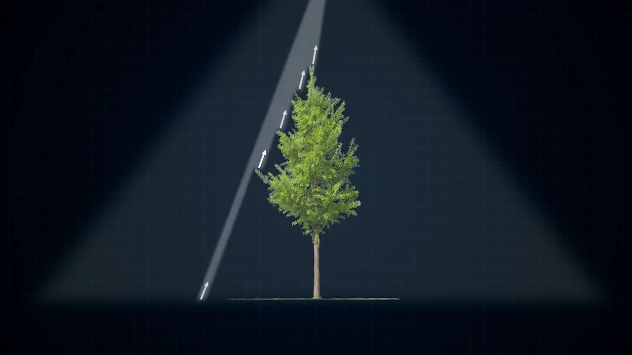 videoframe_4800.png